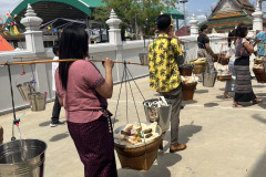 S__144039995_0
