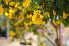 AI5A9512_resize