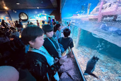 LINE_ALBUM_Sea-life_250321_92