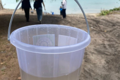 LINE_ALBUM_2025.3.24_250324_8