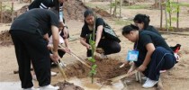 ศูนย์ฯลำปาง เข้าร่วมกิจกรรมปลูกต้นไม้เฉลิมพระเกียรติ สมเด็จพระนางเจ้าสิริกิต์ พระบรมราชินีนาถ