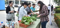 กองบริการนักศึกษา มหาวิทยาลัยสวนดุสิต วิทยาเขตสุพรรณบุรี จัดกิจกรรมตลาดนัด ในชื่อ “ตลาดนัดหน้าละออ” ทั้งนี้เพื่อให้นักศึกษา คณาจารย์และเจ้าหน้าที่ได้มีกิจกรรมร่วมกัน เพื่อพัฒนาทักษะต่างๆ