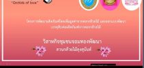 นักศึกษาคณะวิทยาการการนำเสนอโครงการย่อย ในโครงการออมสินยุวพัฒน์รักษ์ถิ่นปี 2563 ผ่านระบบ Microsoft Teams