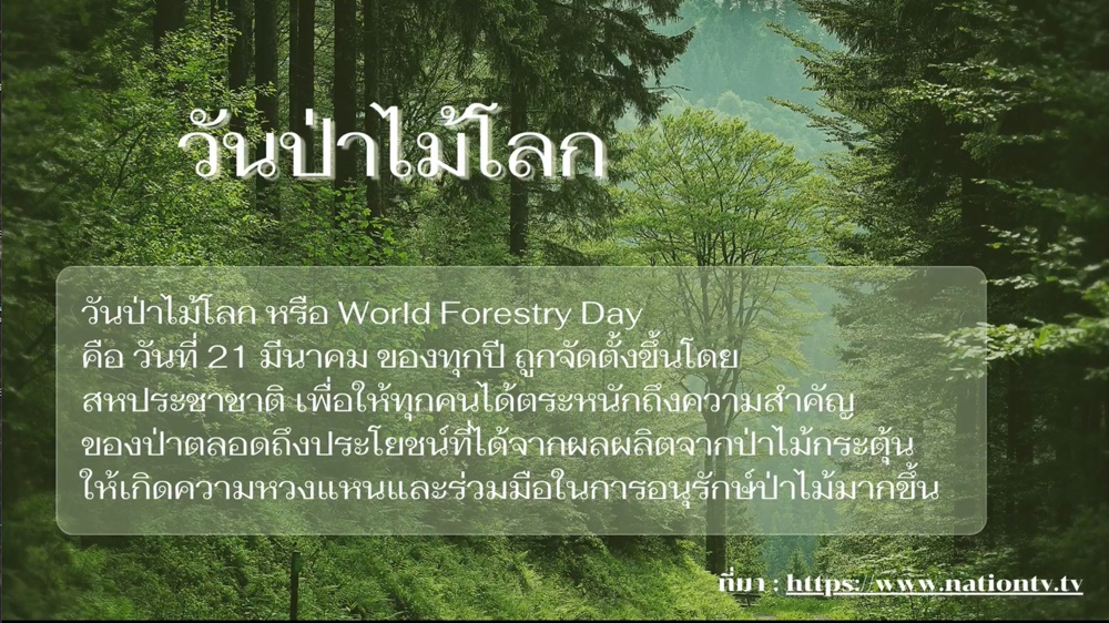 21 มีนาคม วันป่าไม้โลก