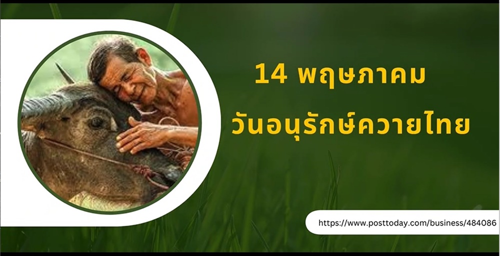 14 พฤษภาคม-วันอนุรักษ์ควายไทย