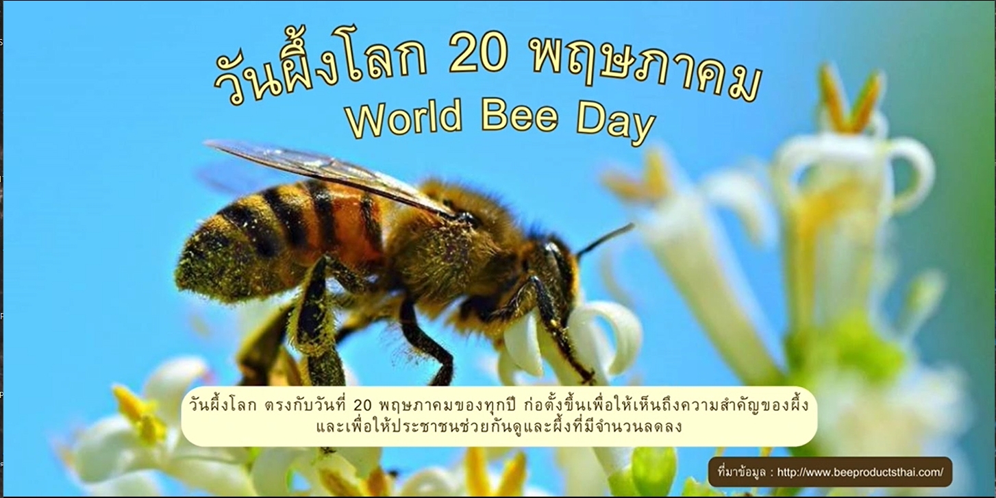 20 พฤษภาคม-วันผึ้งโลก (WorldBeeDay)