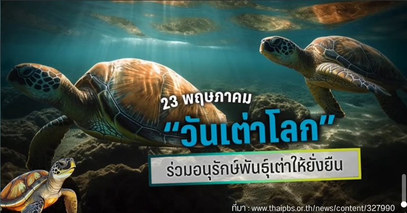 23 พฤษภาคม 2567 วันเต่าโลก (World Turtle Day)