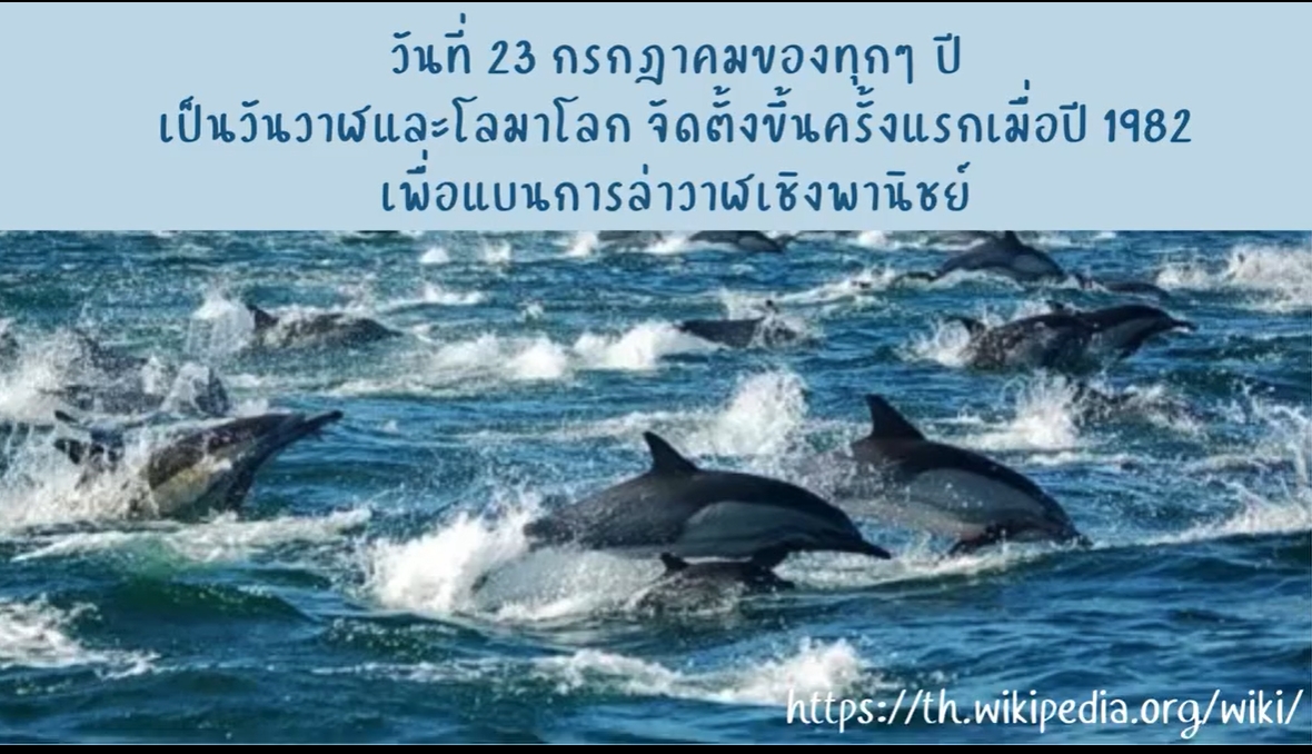 23 กรกฎาคม-วันวาฬและโลมาโลก (World Whale and Dolphin Day)