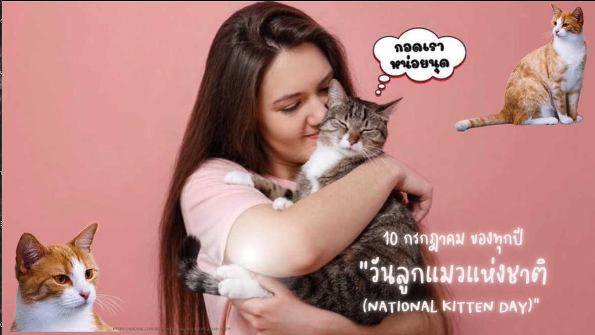 10 กรกฎาคม-วันลูกแมวแห่งชาติ (National Kitten Day)