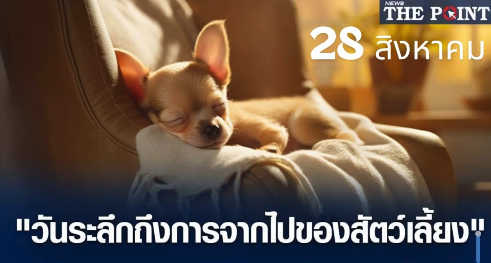 28 สิงหาคม วันระลึกถึงจากการไปของสัตว์เลี้ยง