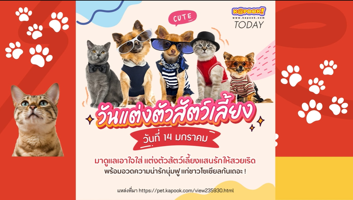 14 มกราคม–วันแต่งตัวให้สัตว์เลี้ยง (Dress Up Your Pet Day)