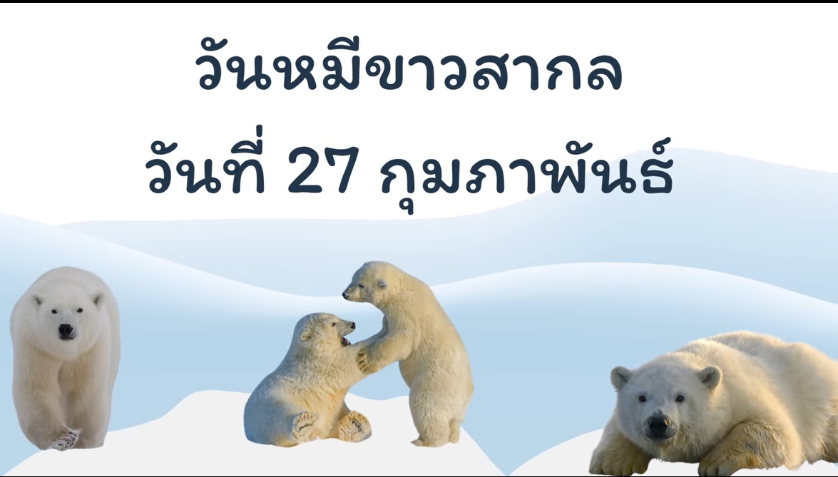 27 กุมภาพันธ์- วันหมีขั้วโลกสากล